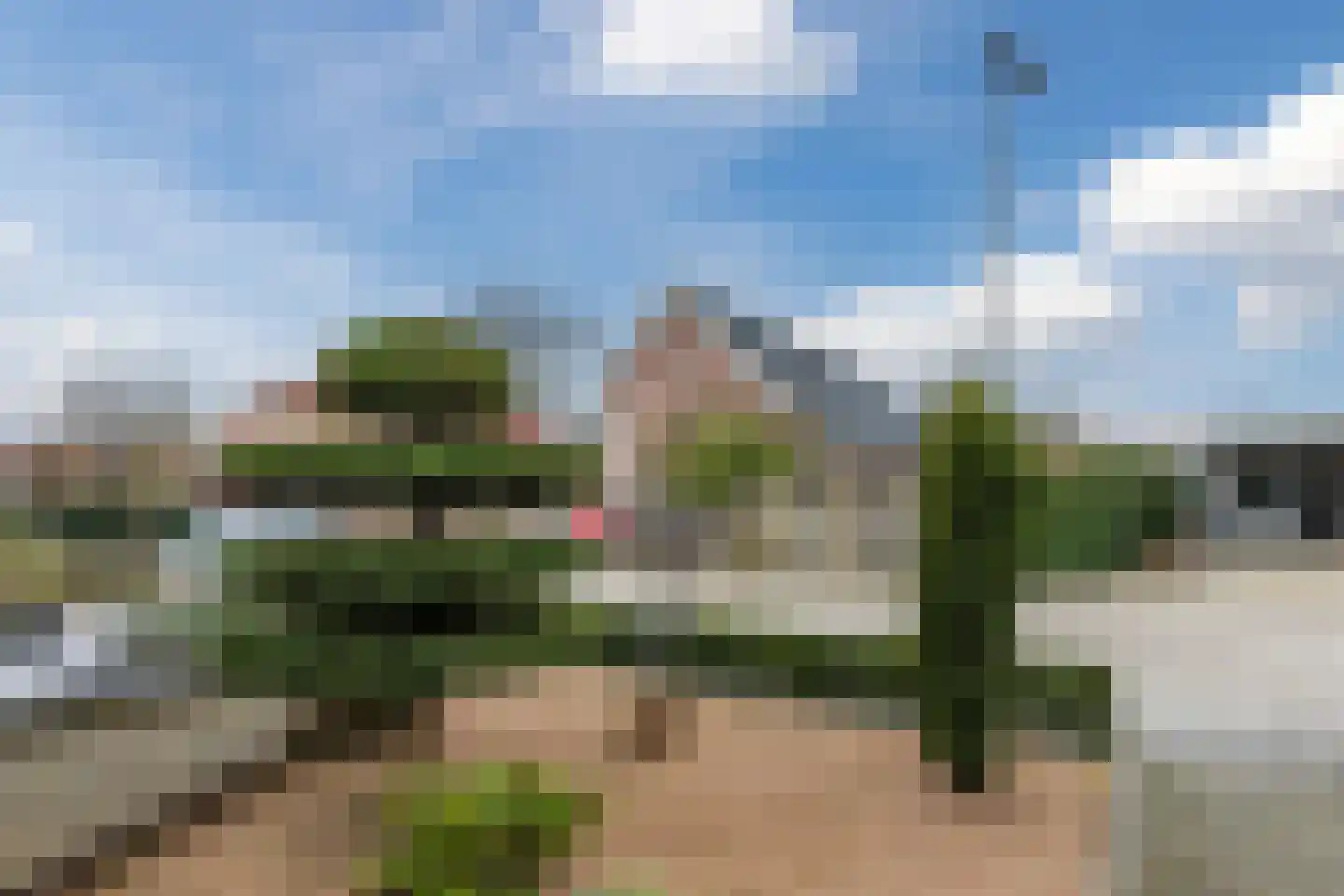 Kleinhaar 22 Kloosterhaar thumbnail 45