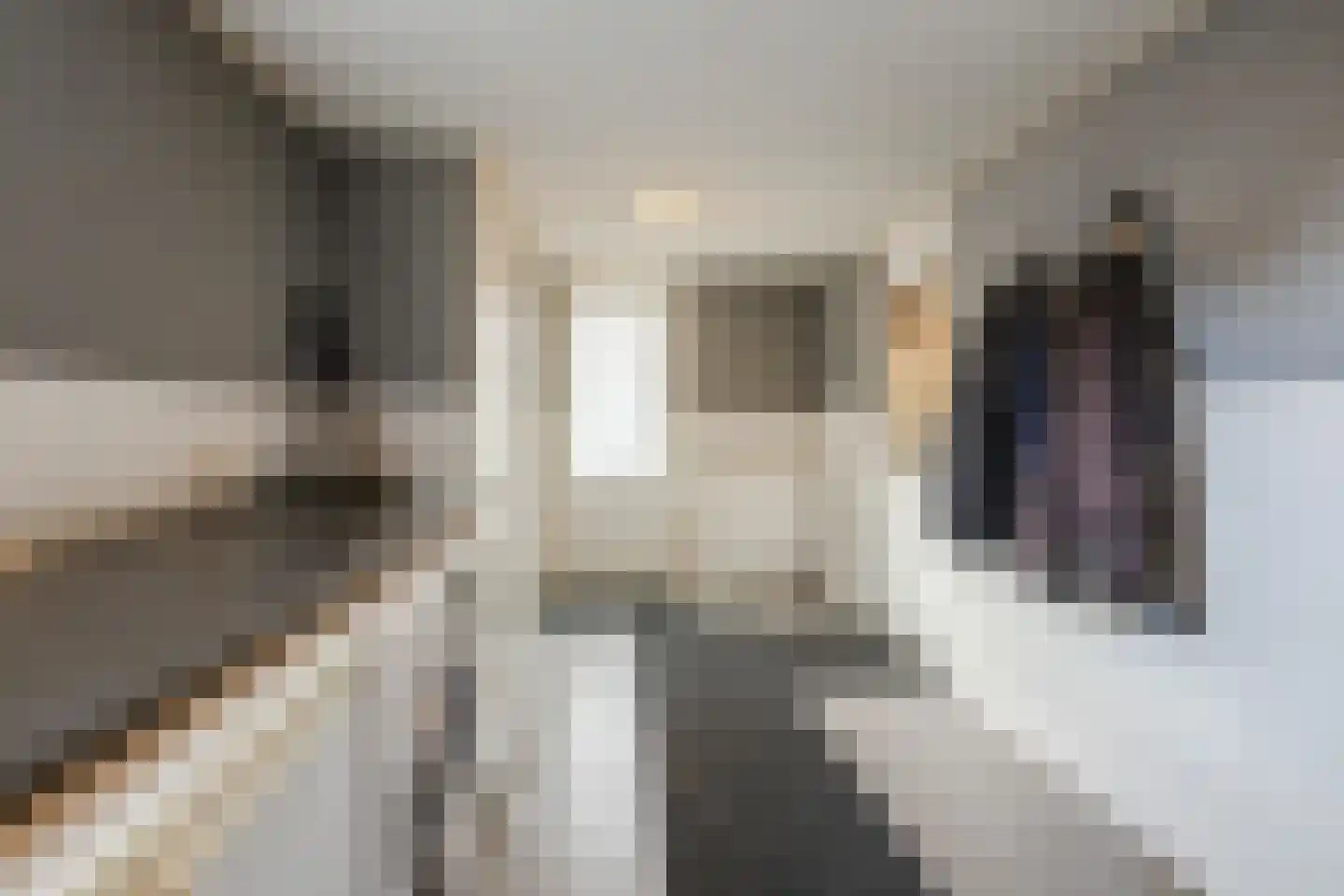 Kleinhaar 22 Kloosterhaar thumbnail 5