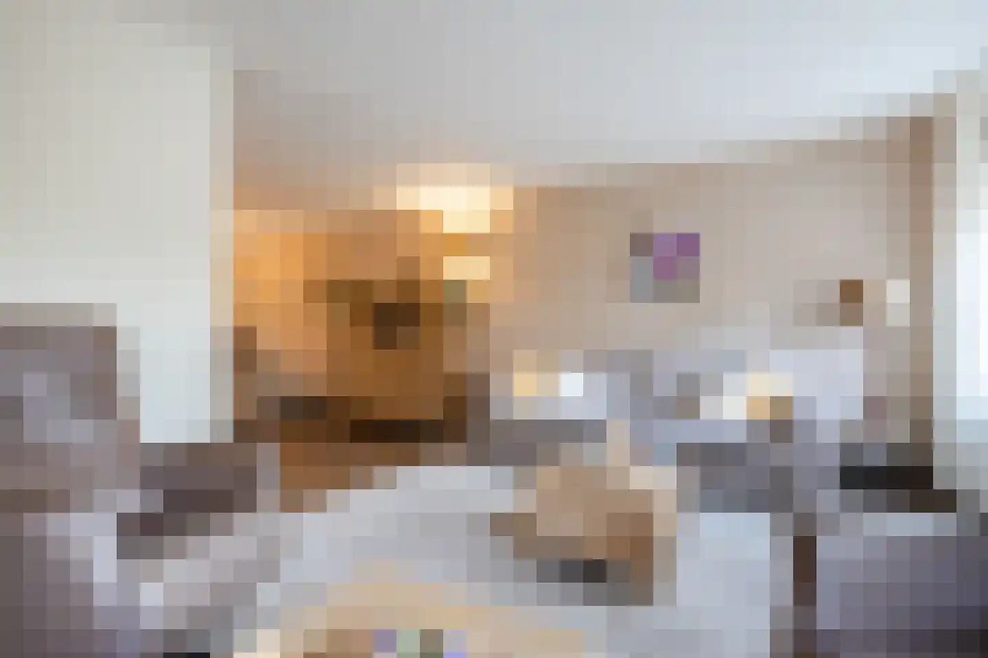Kleinhaar 22 Kloosterhaar thumbnail 9