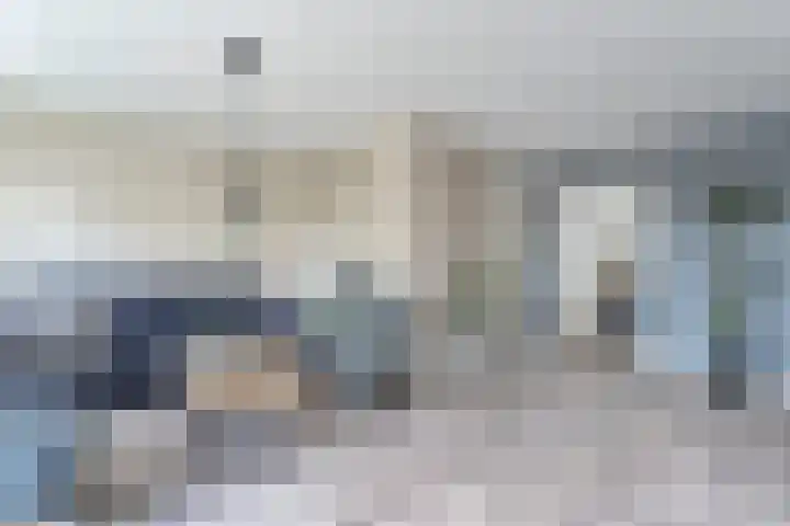Kleinhaar 49 Kloosterhaar thumbnail 14