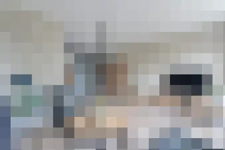 Kleinhaar 49 Kloosterhaar thumbnail 15