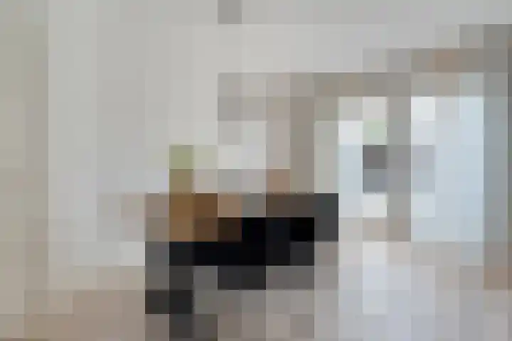 Kleinhaar 49 Kloosterhaar thumbnail 19