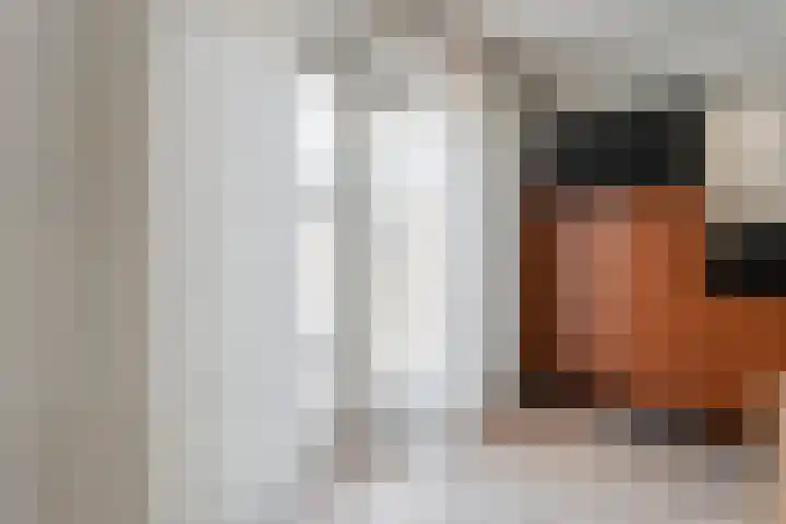Kleinhaar 49 Kloosterhaar thumbnail 23
