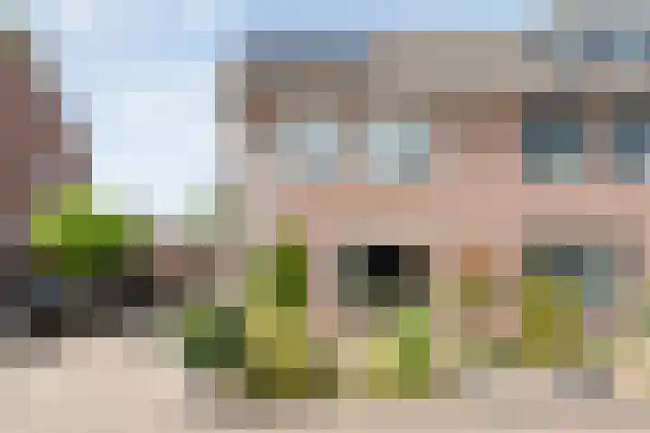 Kleinhaar 49 Kloosterhaar thumbnail 4