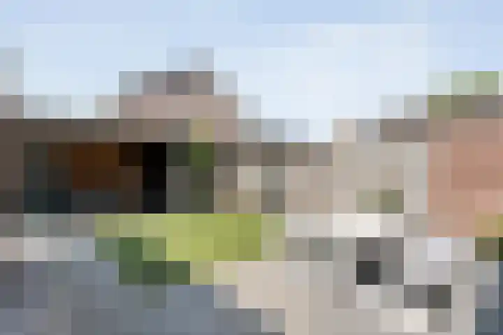 Kleinhaar 49 Kloosterhaar thumbnail 43
