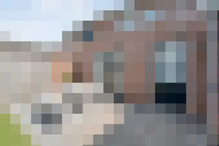 Kleinhaar 49 Kloosterhaar thumbnail 44