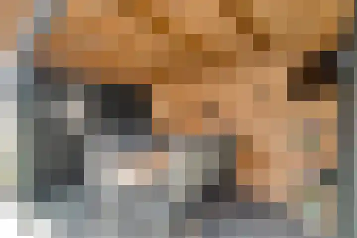 Kleinhaar 49 Kloosterhaar thumbnail 46
