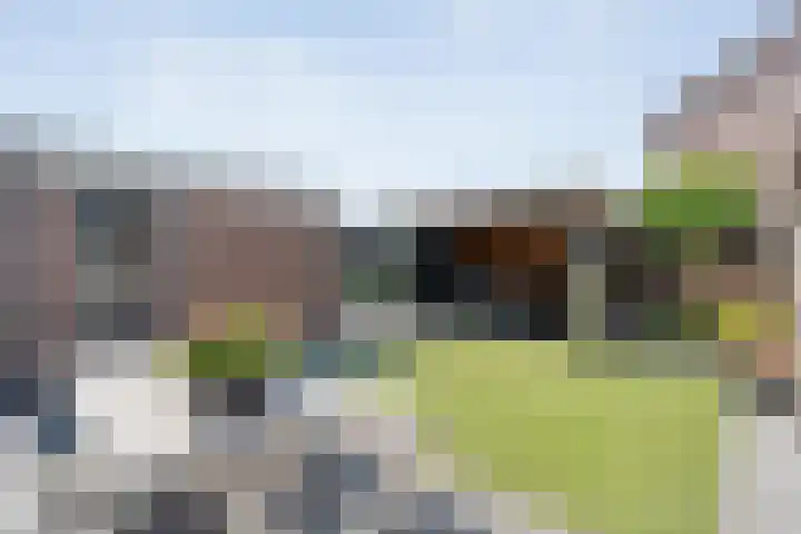 Kleinhaar 49 Kloosterhaar thumbnail 48