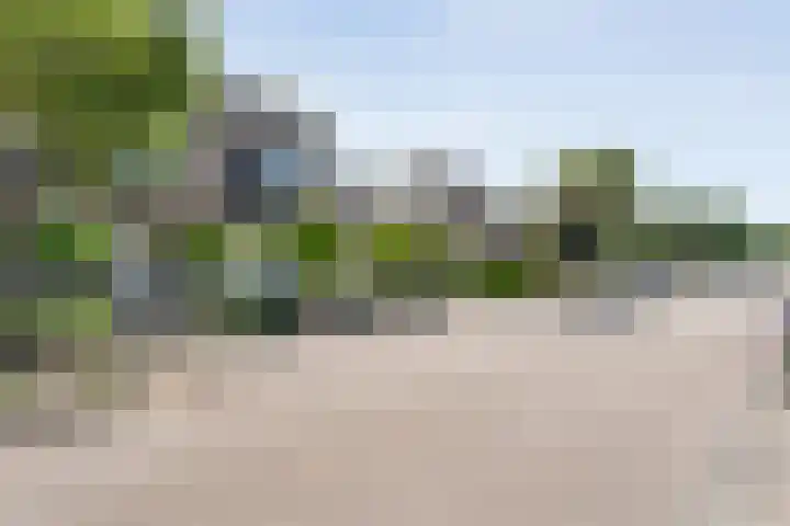 Kleinhaar 49 Kloosterhaar thumbnail 5