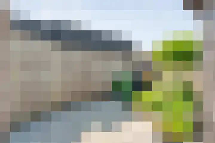 Kleinhaar 49 Kloosterhaar thumbnail 51
