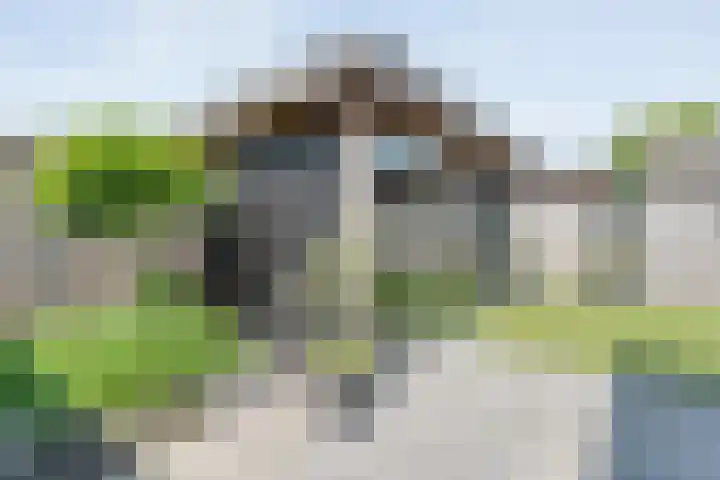 Kleinhaar 49 Kloosterhaar thumbnail 52