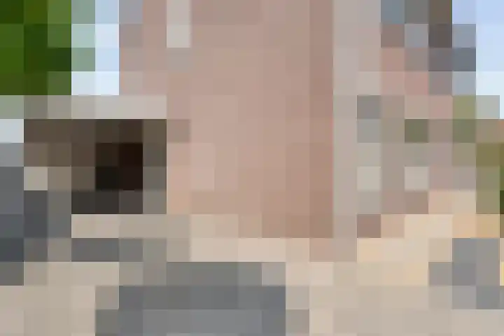 Kleinhaar 49 Kloosterhaar thumbnail 6