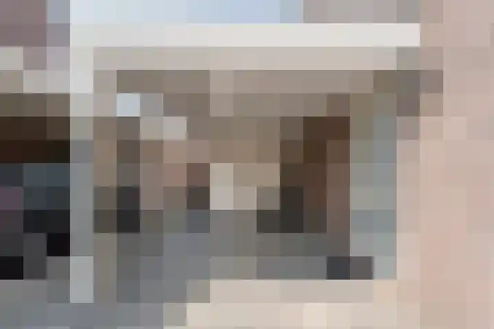 Kleinhaar 49 Kloosterhaar thumbnail 7