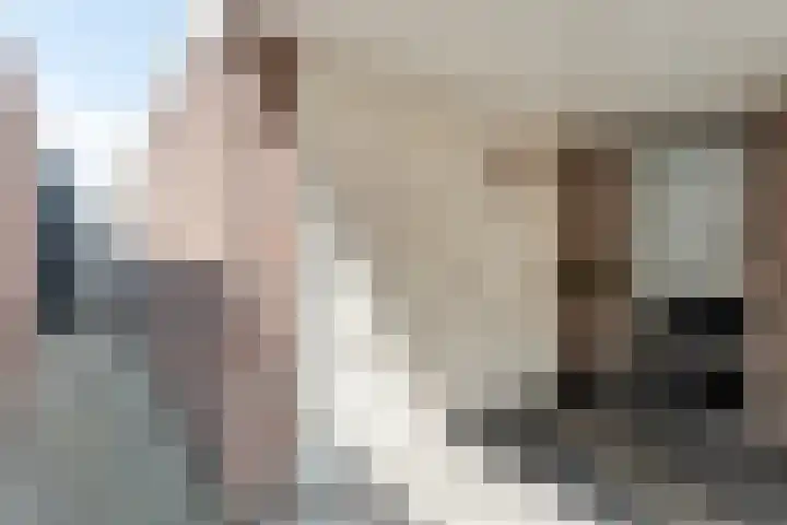 Kleinhaar 49 Kloosterhaar thumbnail 8
