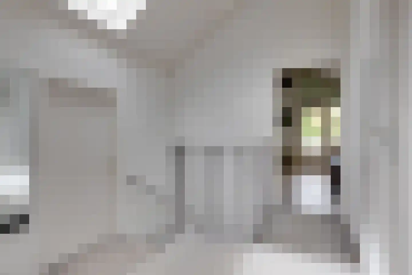 Kleinhoonte 4 Winterswijk thumbnail 32