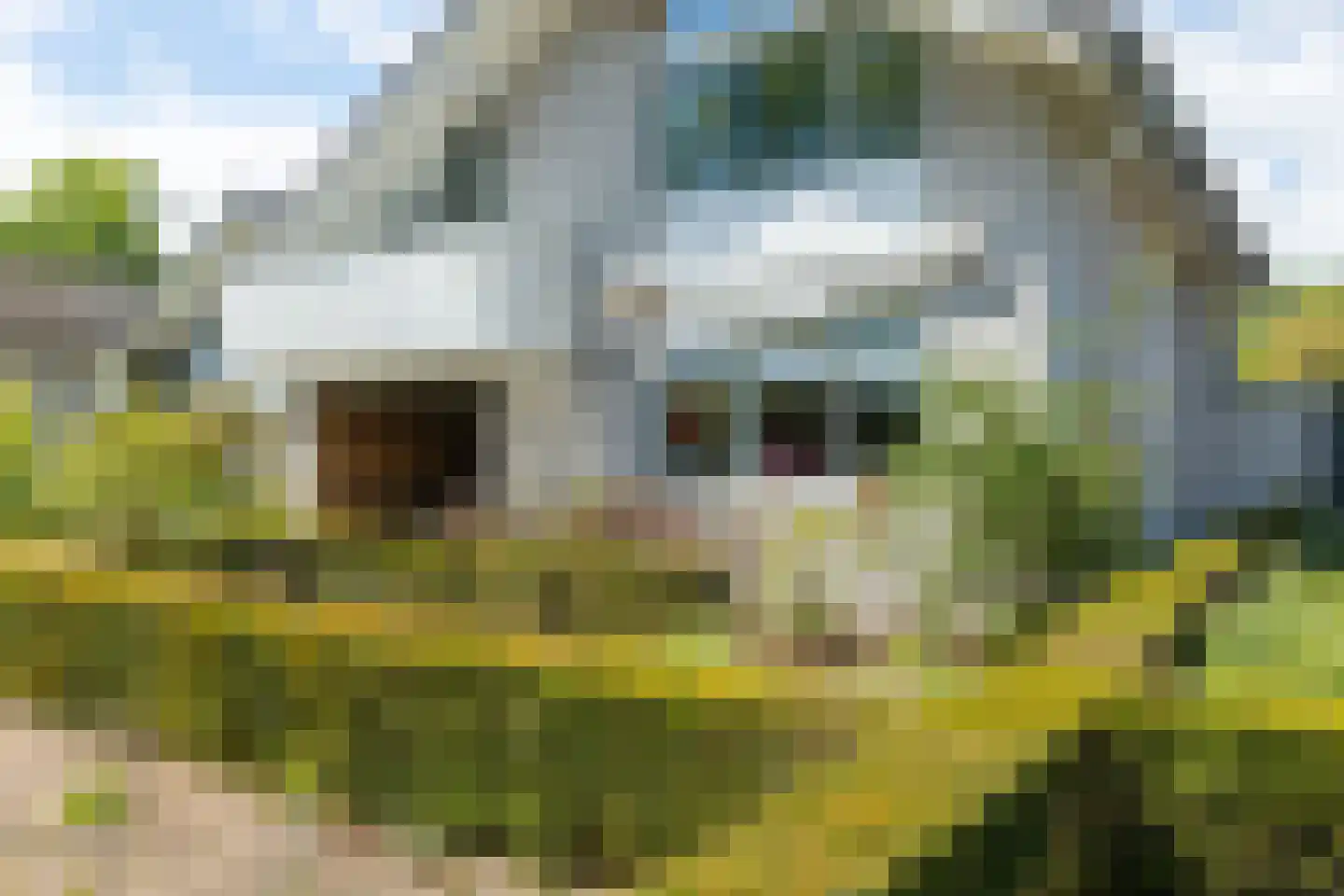 Kleinhoonte 4 Winterswijk thumbnail 5
