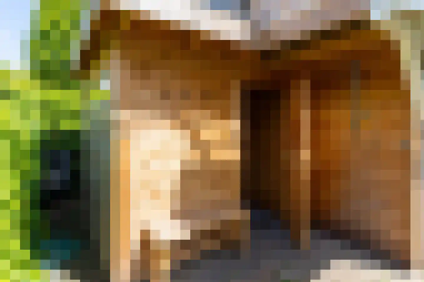 Kleinhoonte 4 Winterswijk thumbnail 57