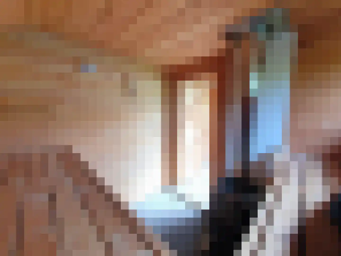 Kleinhoonte 4 Winterswijk thumbnail 60