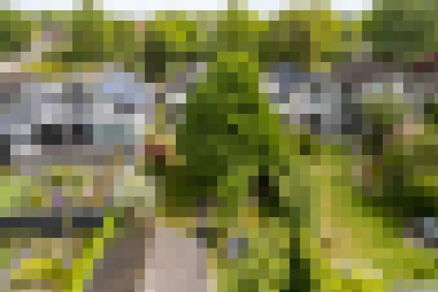 Kleinhoonte 4 Winterswijk thumbnail 61
