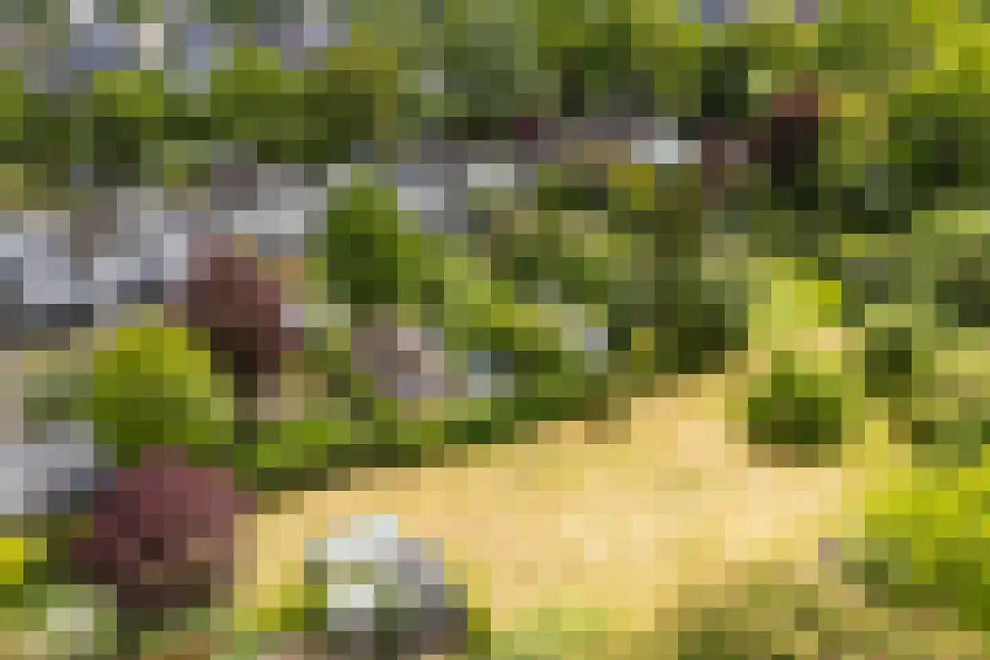 Kleinhoonte 4 Winterswijk thumbnail 62