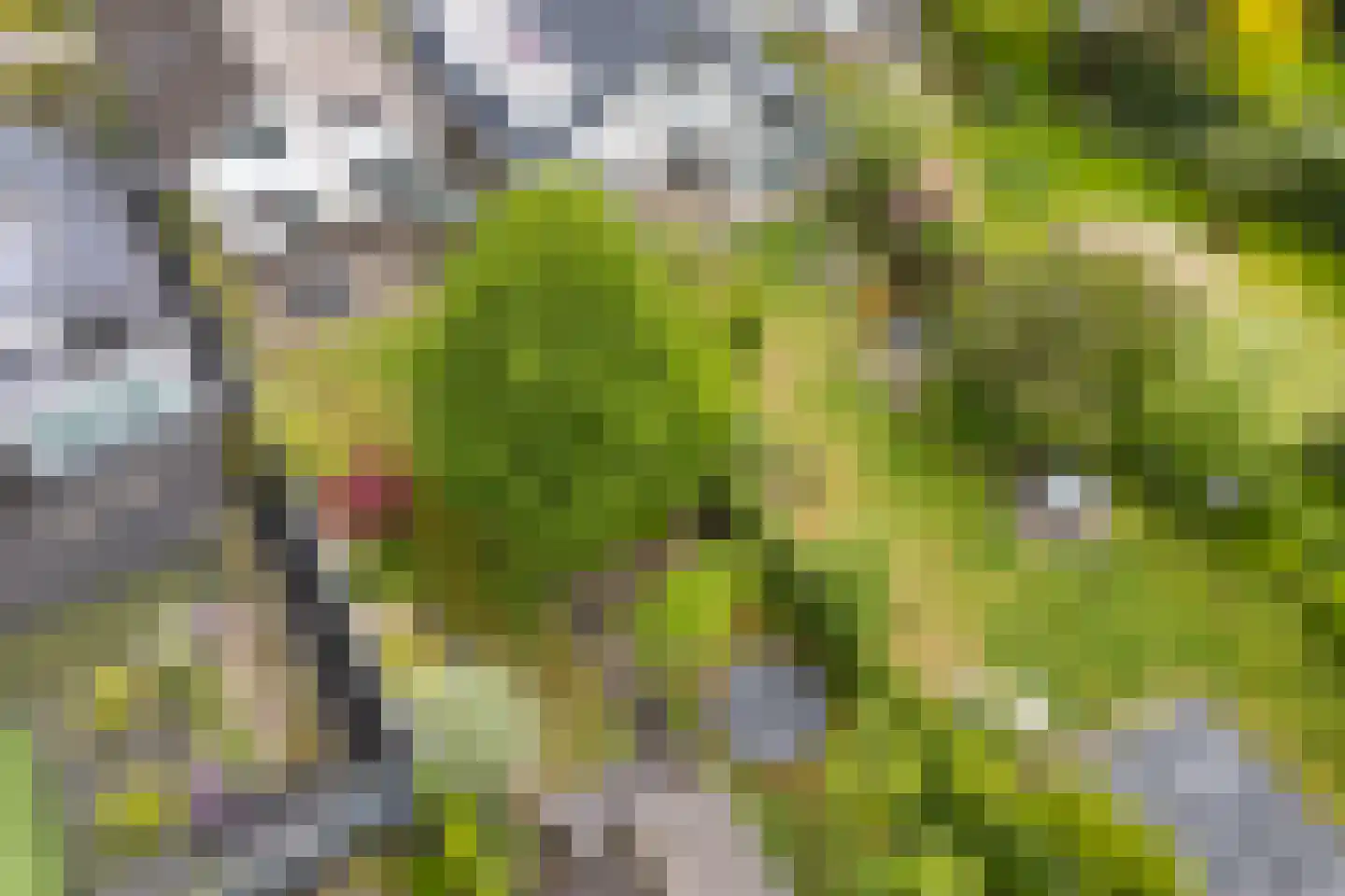 Kleinhoonte 4 Winterswijk thumbnail 63