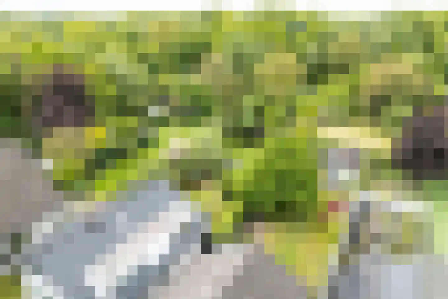 Kleinhoonte 4 Winterswijk thumbnail 65
