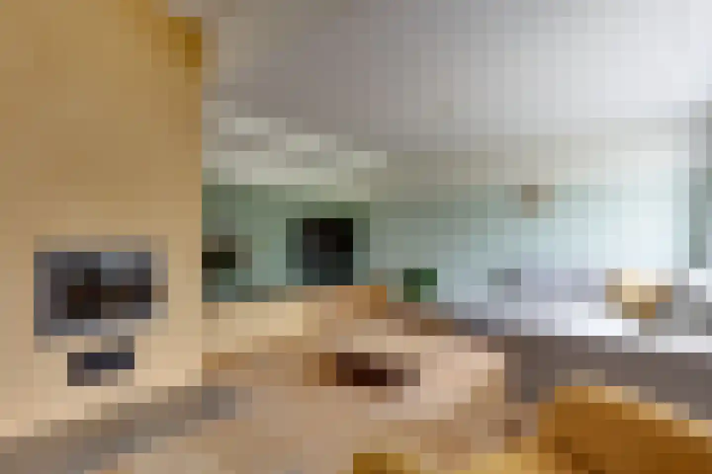 Kleinhoonte 4 Winterswijk thumbnail 9