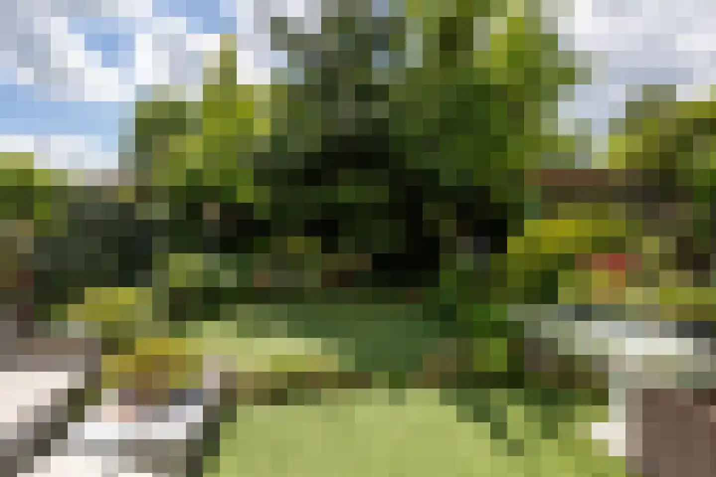 Kleinhorst 19 Leusden thumbnail 31