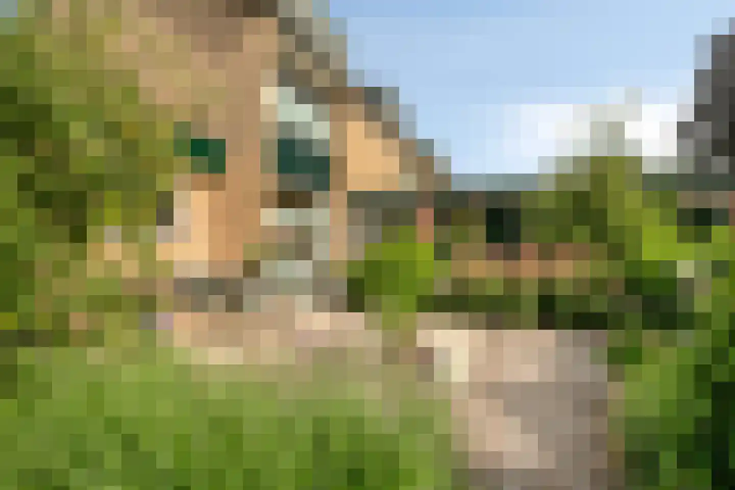 Kleinhorst 25 Leusden thumbnail 41