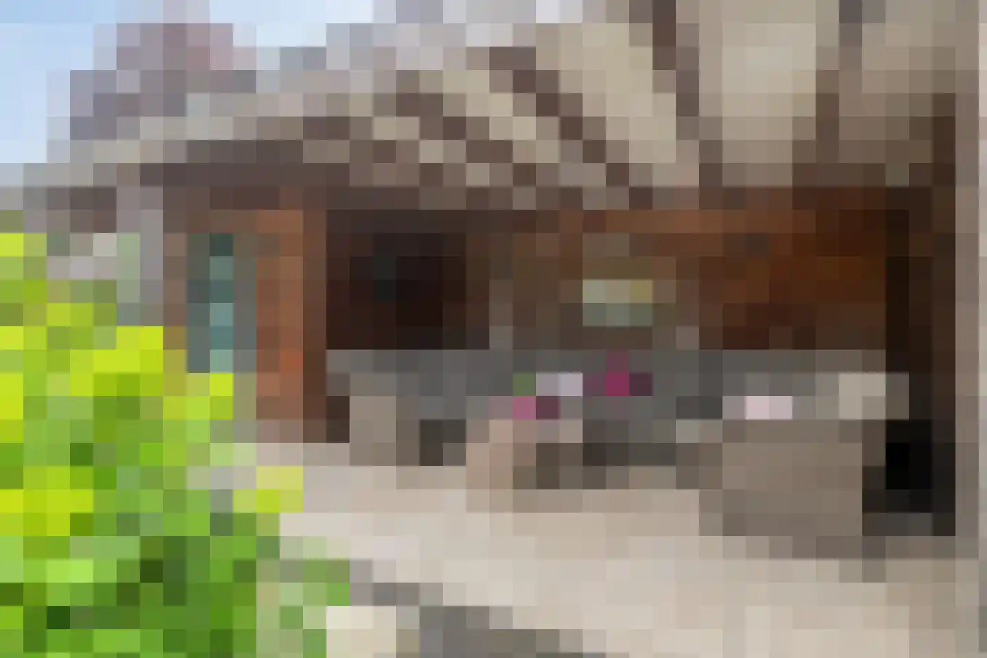 Kleinhorst 25 Leusden thumbnail 43