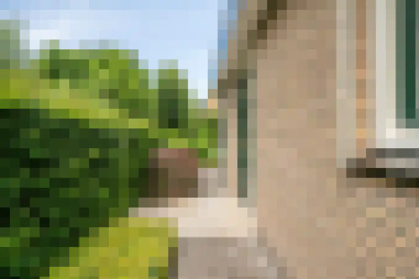 Kleinhorst 25 Leusden thumbnail 45