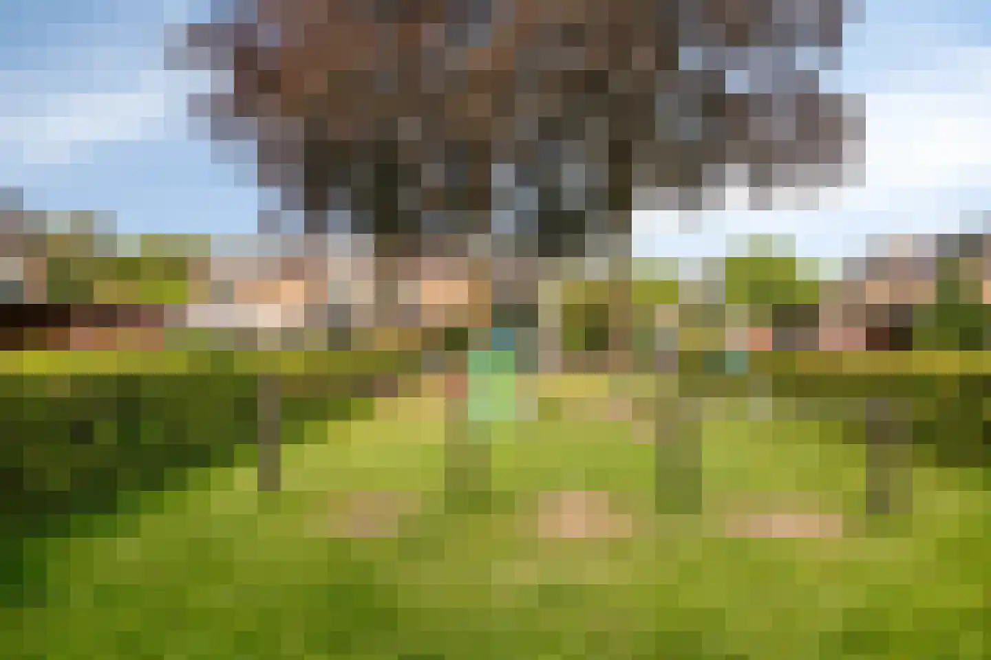 Kleinhorst 25 Leusden thumbnail 48