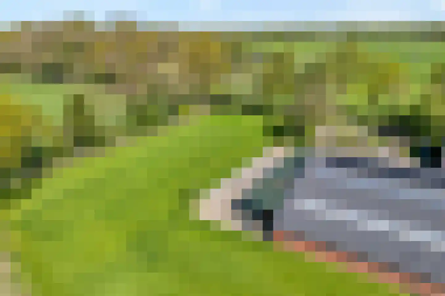 Kleinjansweg 1 Heino thumbnail 10