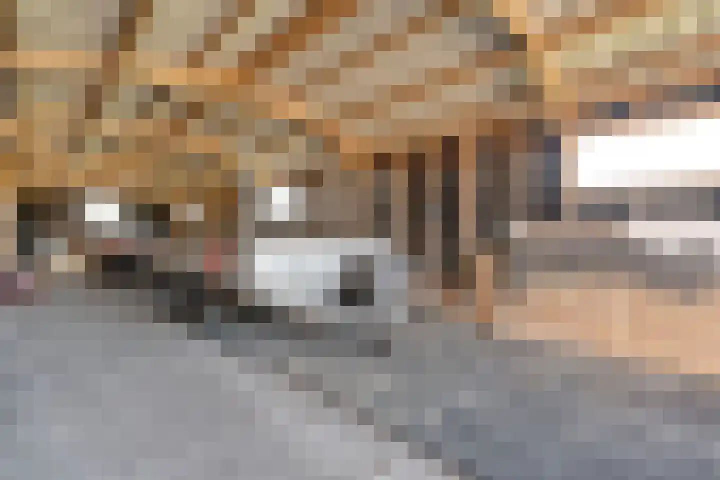 Kleinjansweg 1 Heino thumbnail 104