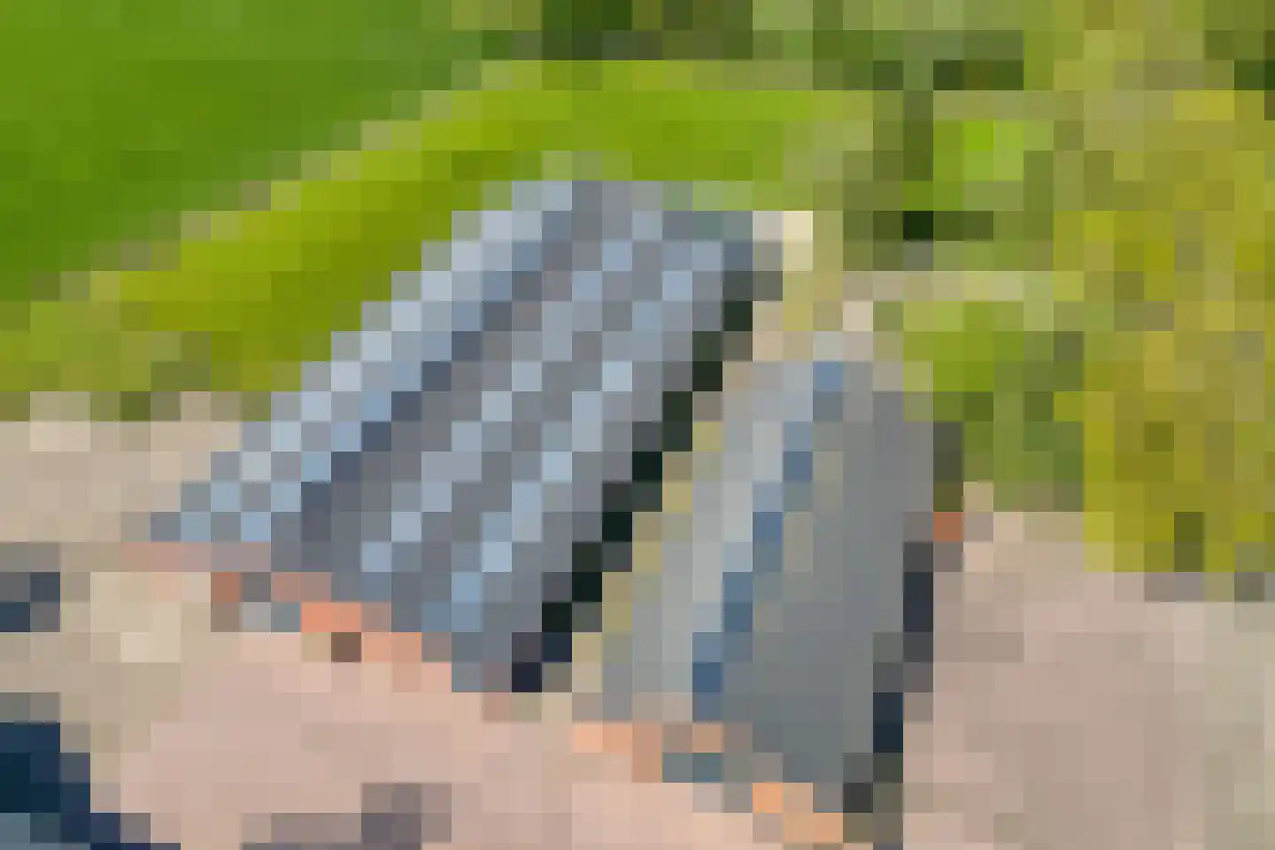 Kleinjansweg 1 Heino thumbnail 11