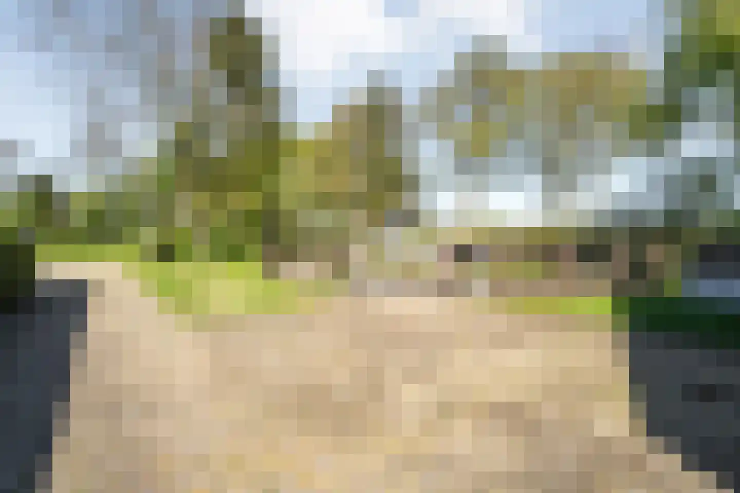 Kleinjansweg 1 Heino thumbnail 113