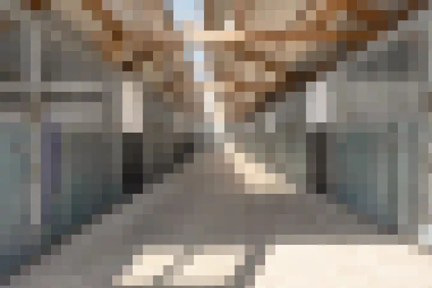 Kleinjansweg 1 Heino thumbnail 117