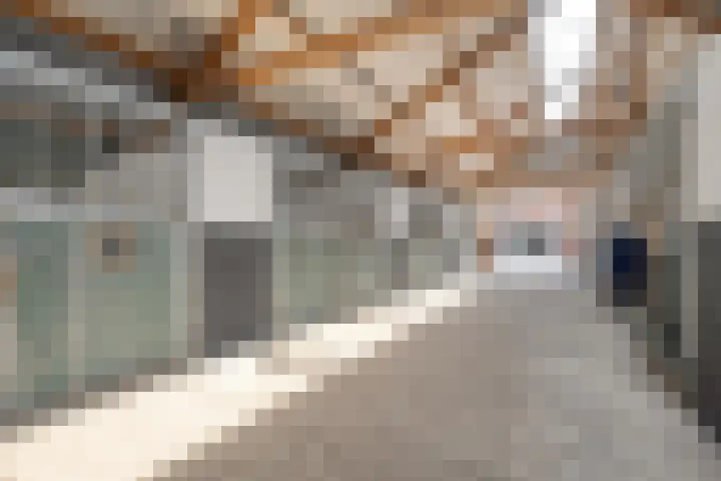 Kleinjansweg 1 Heino thumbnail 118
