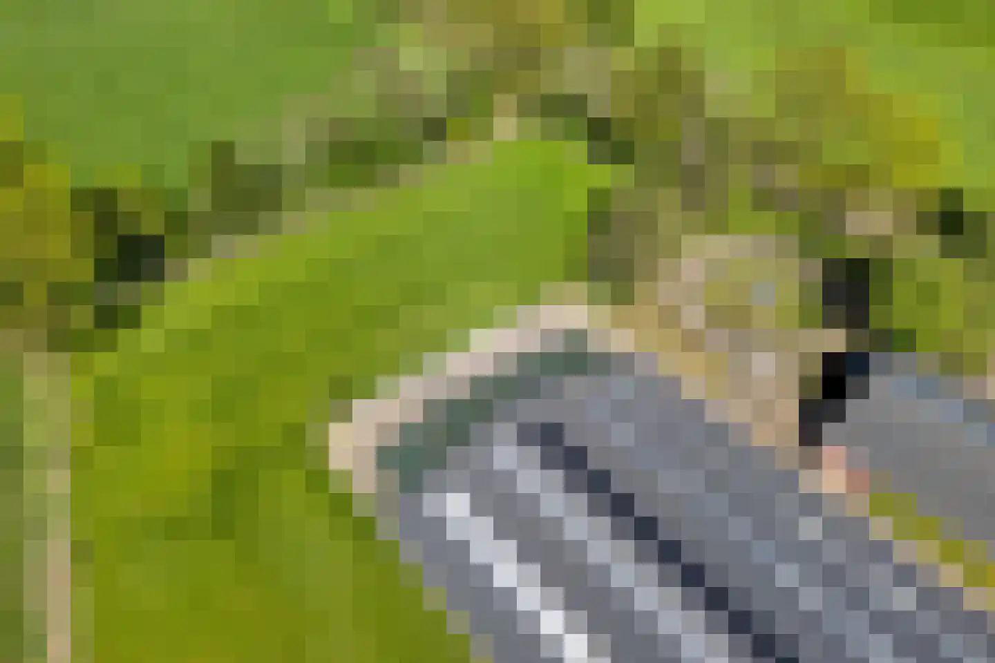 Kleinjansweg 1 Heino thumbnail 12