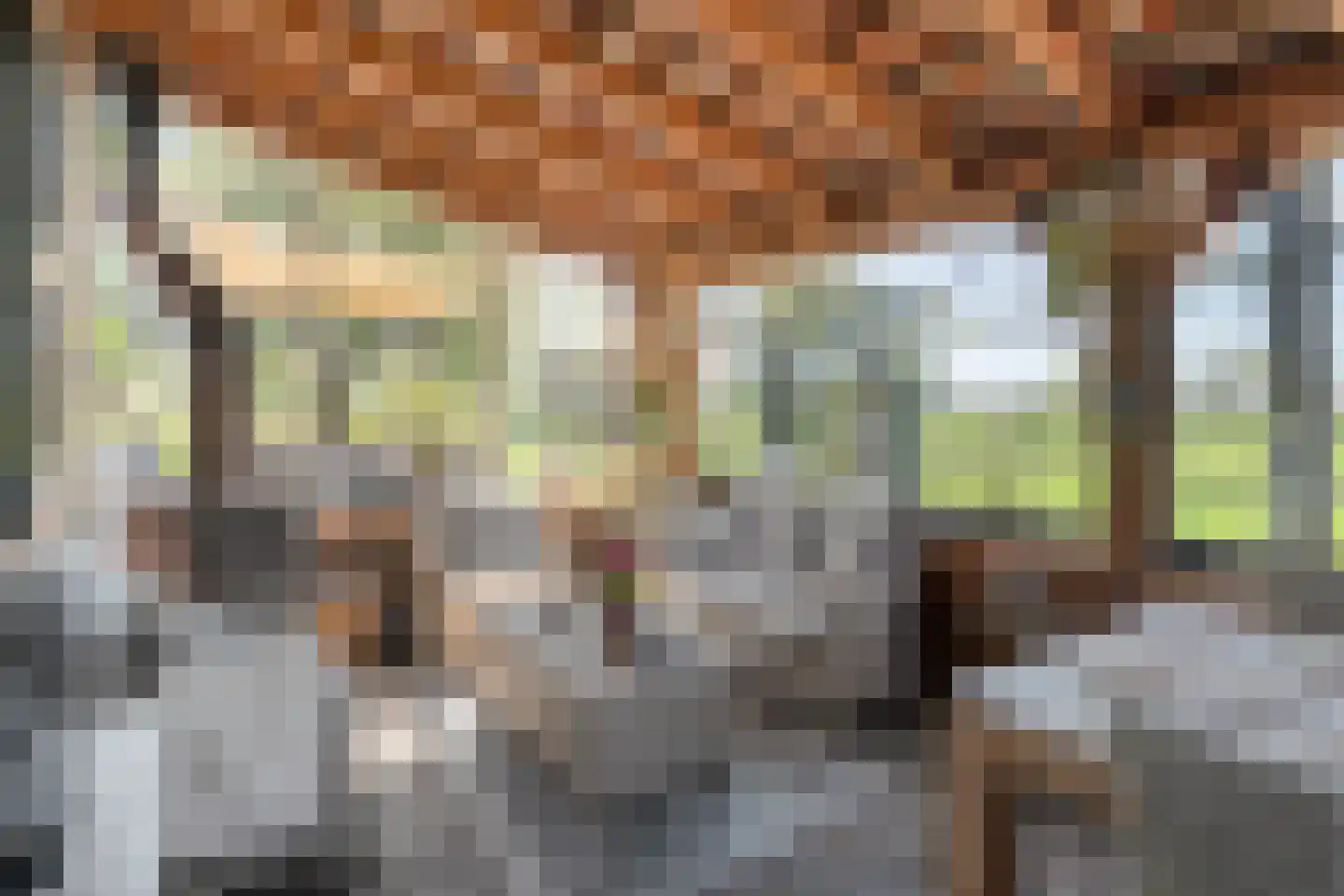 Kleinjansweg 1 Heino thumbnail 13