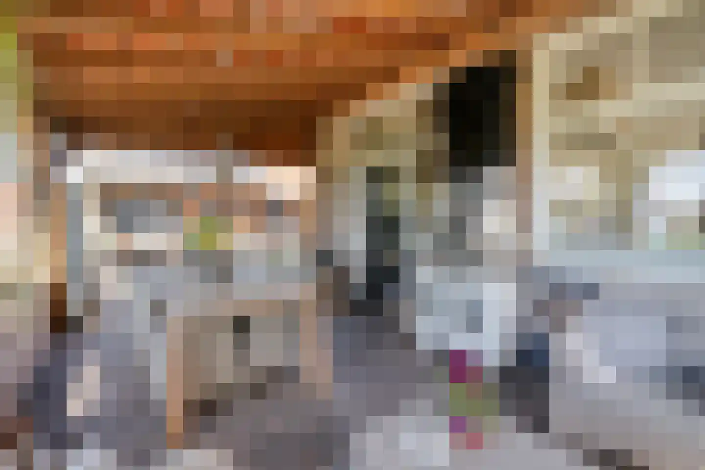Kleinjansweg 1 Heino thumbnail 14