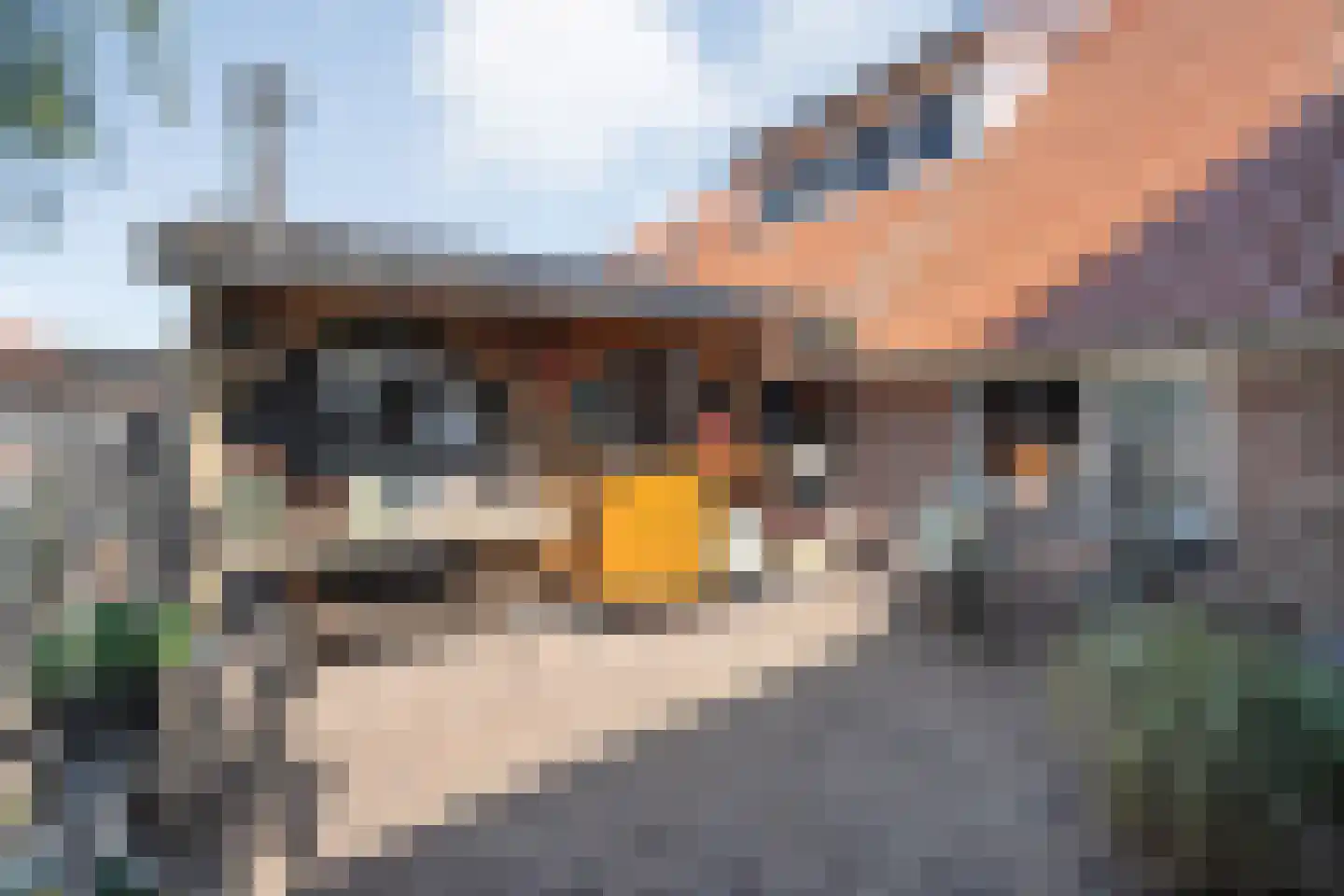 Kleinjansweg 1 Heino thumbnail 15