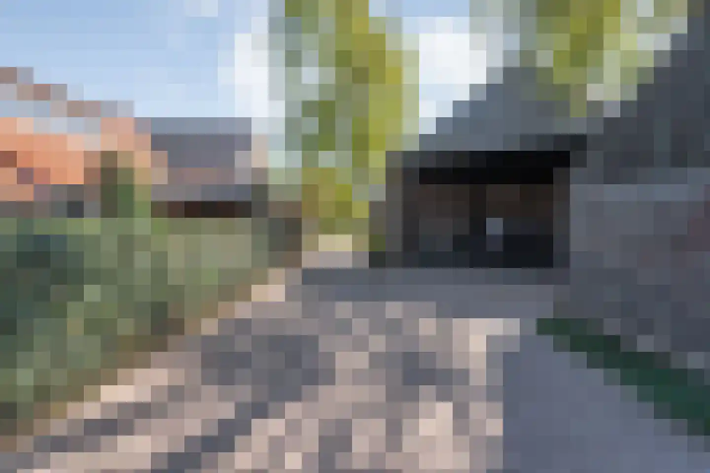 Kleinjansweg 1 Heino thumbnail 16