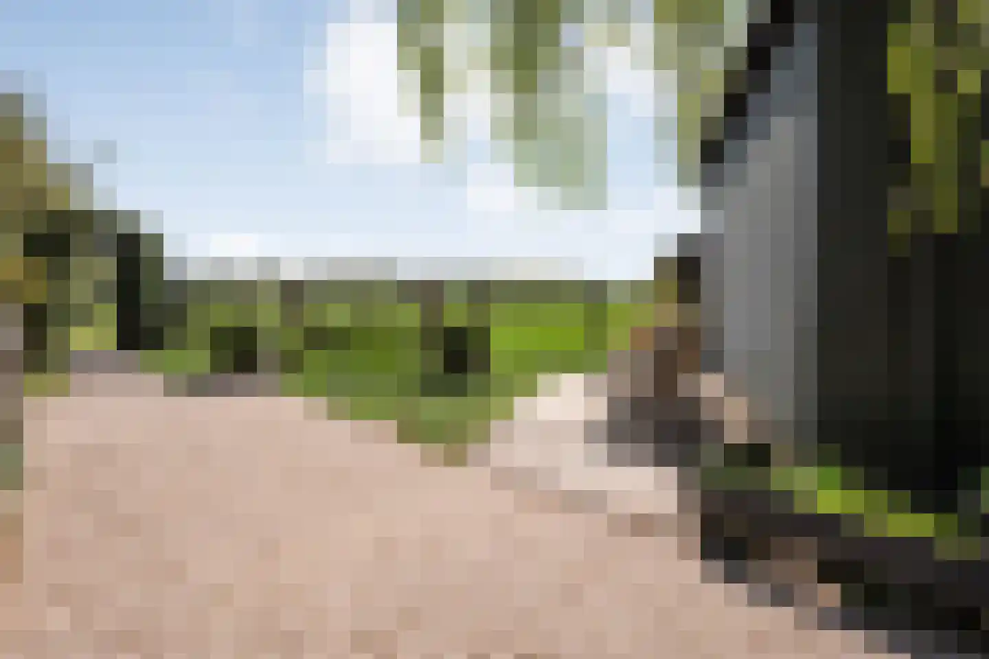 Kleinjansweg 1 Heino thumbnail 17