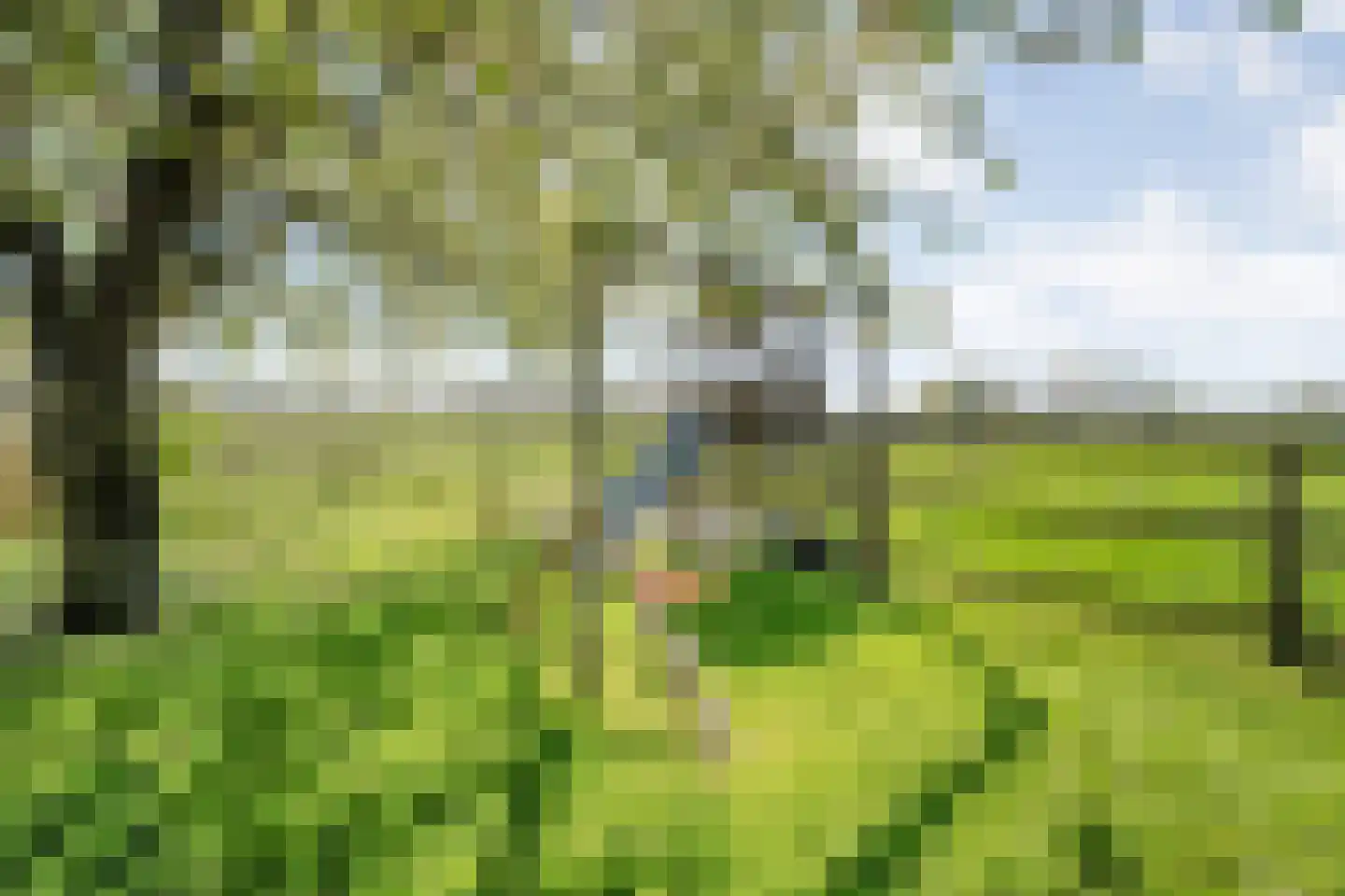 Kleinjansweg 1 Heino thumbnail 20