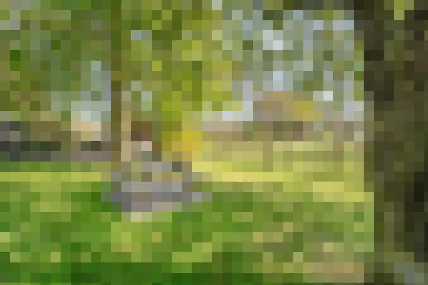 Kleinjansweg 1 Heino thumbnail 22