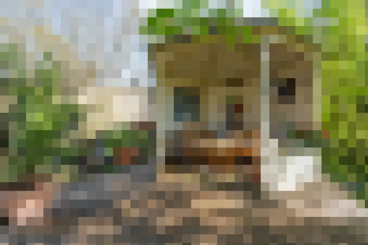 Kleinjansweg 1 Heino thumbnail 23
