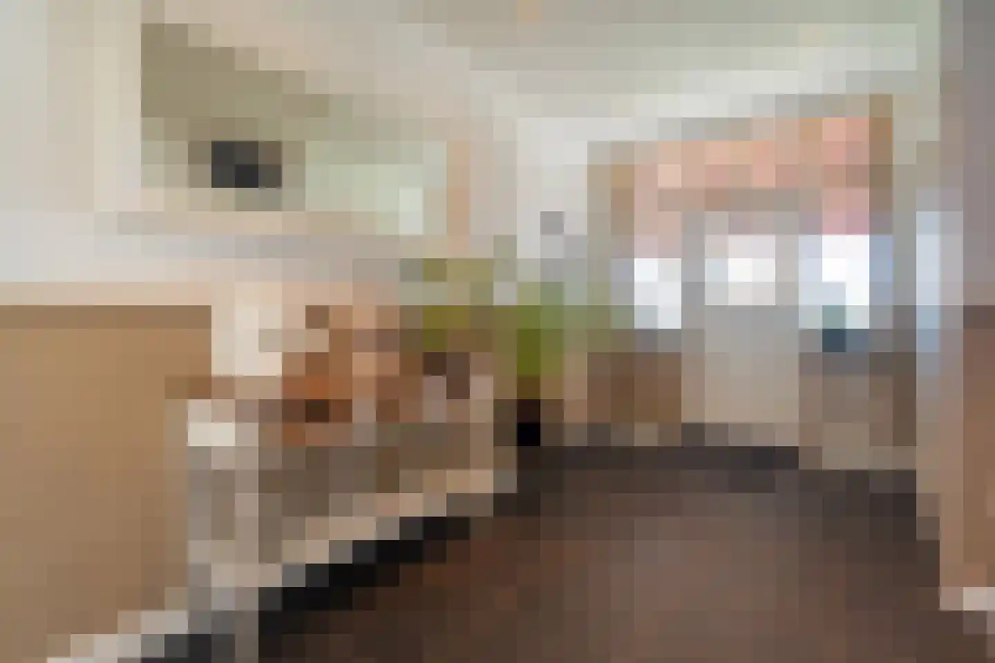 Kleinjansweg 1 Heino thumbnail 28