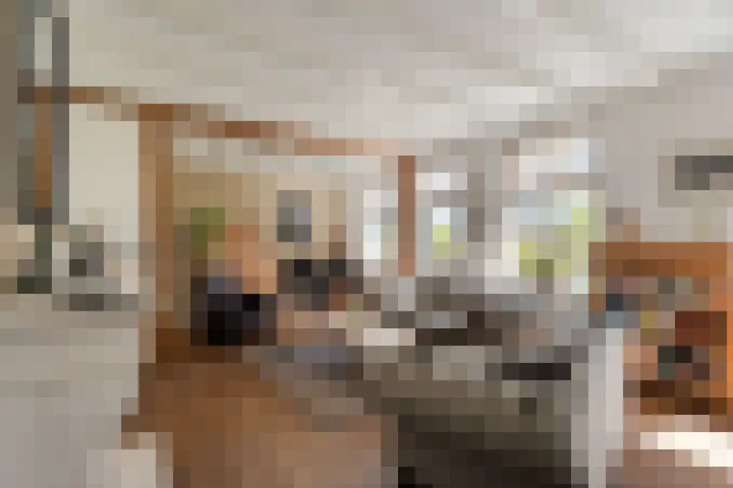 Kleinjansweg 1 Heino thumbnail 31