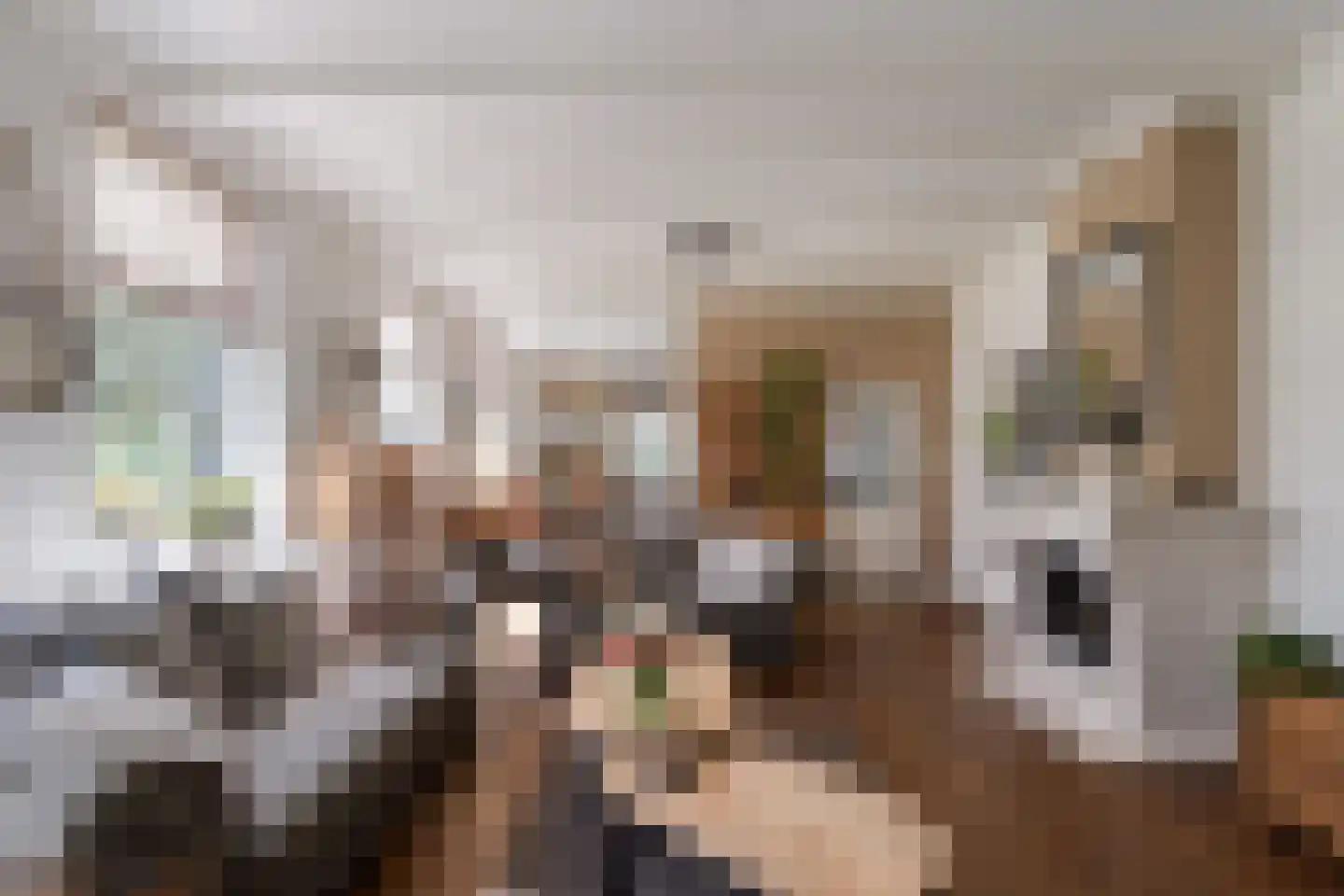 Kleinjansweg 1 Heino thumbnail 33